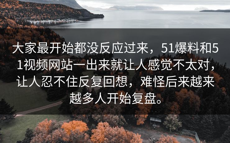 大家最开始都没反应过来，51爆料和51视频网站一出来就让人感觉不太对，让人忍不住反复回想，难怪后来越来越多人开始复盘。