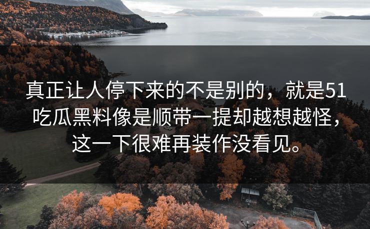 真正让人停下来的不是别的，就是51吃瓜黑料像是顺带一提却越想越怪，这一下很难再装作没看见。